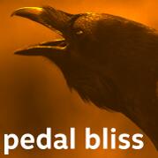 pedal bliss's Avatar