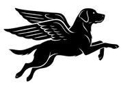 BirdYYC's Avatar