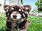 briand's Avatar
