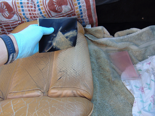 Leather Dye Colorant