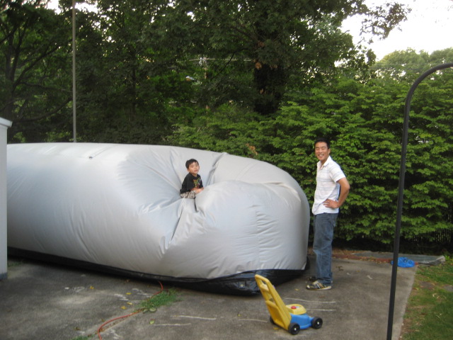 Name:  car capsule.JPG
Views: 1517
Size:  124.2 KB