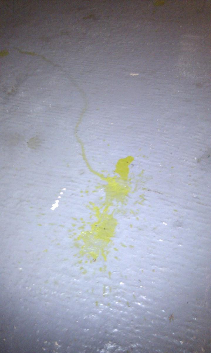 Yellow Fluid Dripping From Car