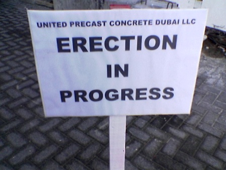 Name:  erection02.jpg
Views: 391
Size:  53.7 KB