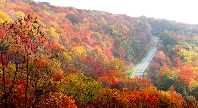 Top 5 Best Roads to Take Your Porsche This Fall