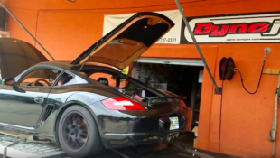 A Ford Coyote V8 in a Porsche Cayman? This is Why We Can’t Have Nice Things!