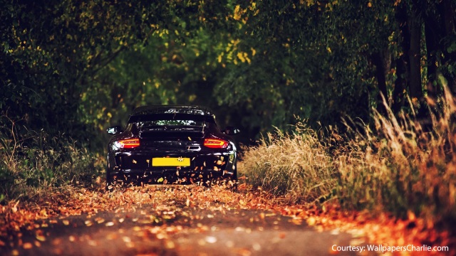 10 Perfect Porsche Wallpapers for Autumn