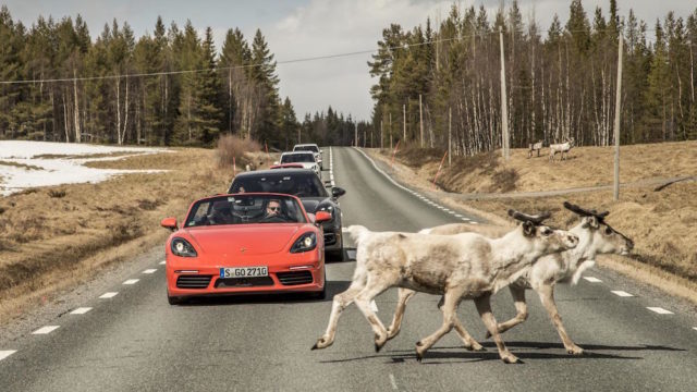 Top Gear Porsche Trip