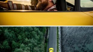 ‘Roads by Porsche’ App Helps Drivers Find the Perfect Road Trip