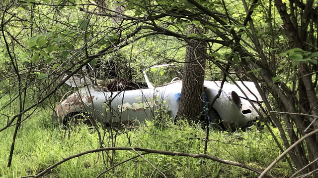 Man Finds Porsche 356 Abandoned In Woods 40 Years Ago